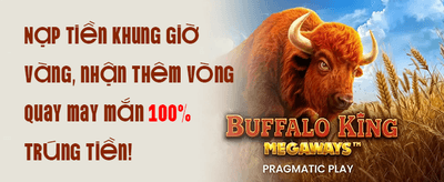 Thưởng Chào Mừng 100% promotion